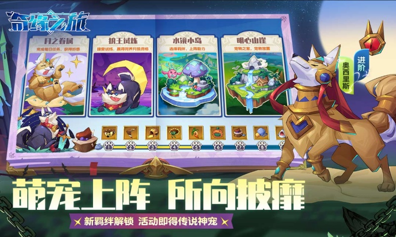 奇缘之旅