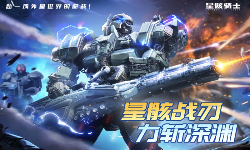 星骸骑士