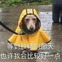 内部测试--免费礼包