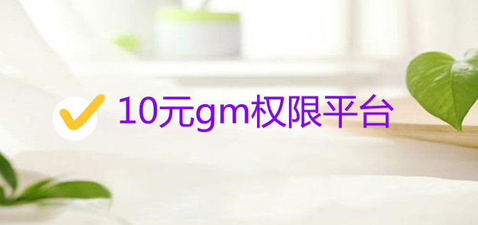 10元gm权限平台