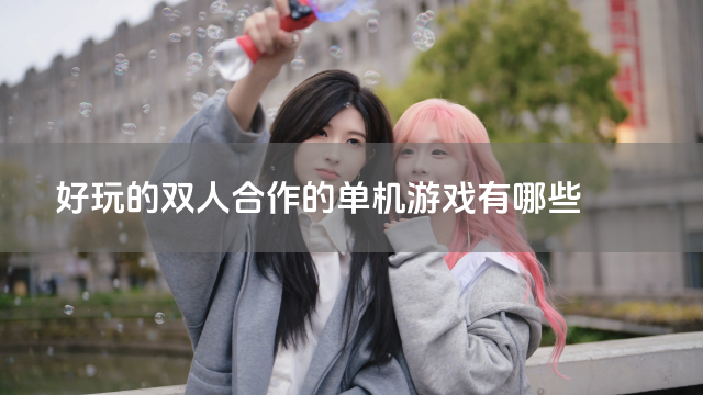 好玩的双人合作的单机游戏有哪些