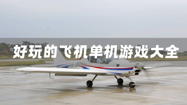 好玩的飞机单机游戏大全