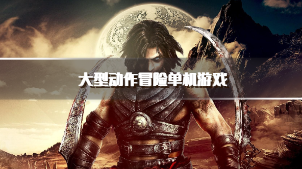 大型动作冒险单机游戏