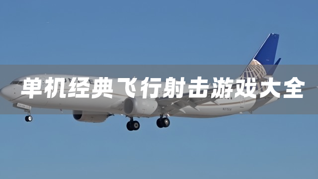 单机经典飞行射击游戏大全