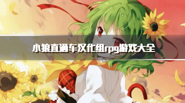 小狼直通车汉化组rpg游戏大全