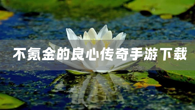 不氪金的良心传奇手游下载