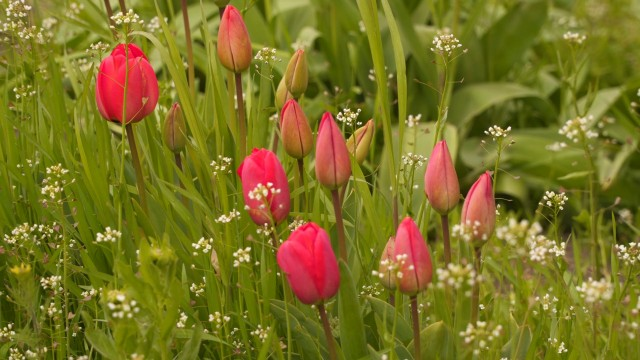 最热门的网游排行榜前十名