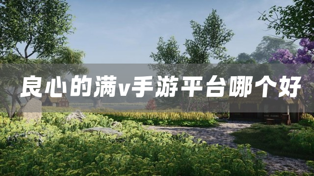 良心的满v手游平台哪个好