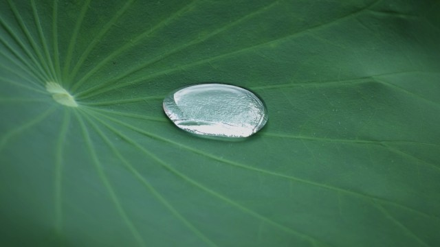 大型单机游戏盒子排行榜前十