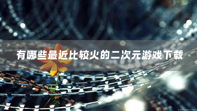 最近比较火的二次元游戏下载