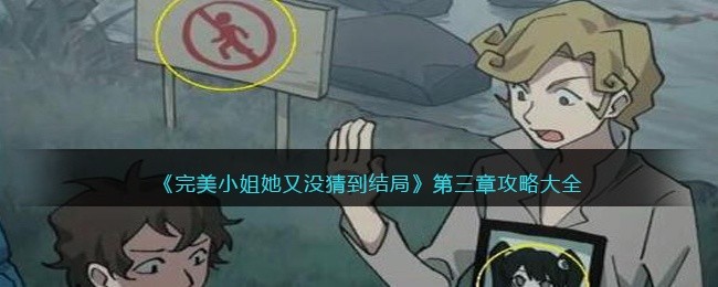 完美小姐她又没猜到结局第三章攻略大全-第三章怎么过关