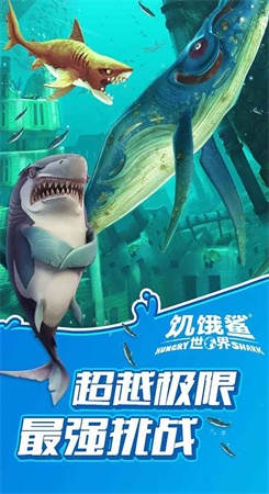 饥饿鲨世界全解锁版