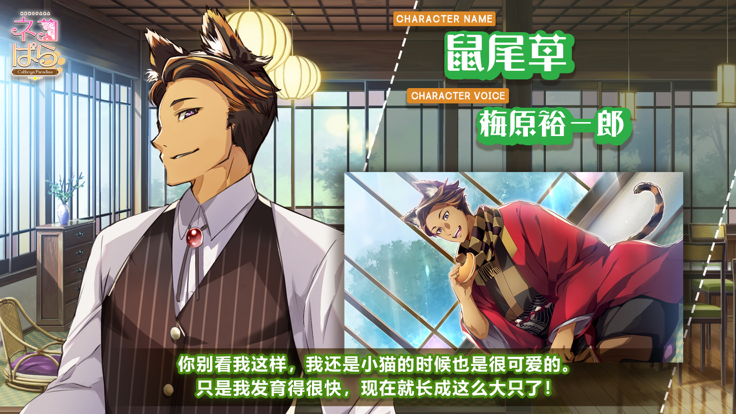 猫郎乐园游戏截图4
