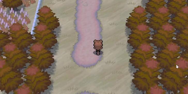 Pokemmo2023万圣节合众鬼火位置-万圣节合众全鬼火位置分布图