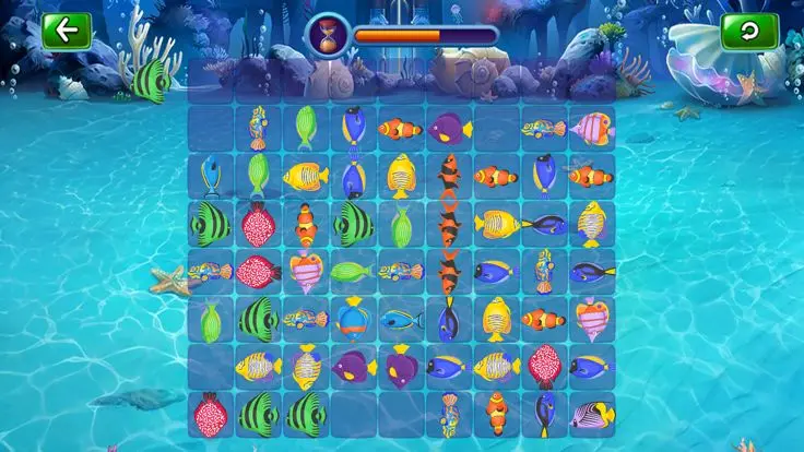 WhichWayfortheFish