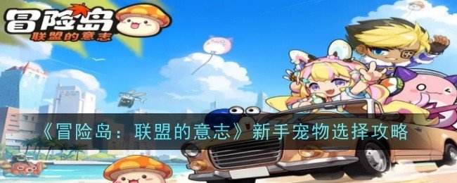 冒险岛联盟的意志新手宠物怎么选-新手宠物选择推荐