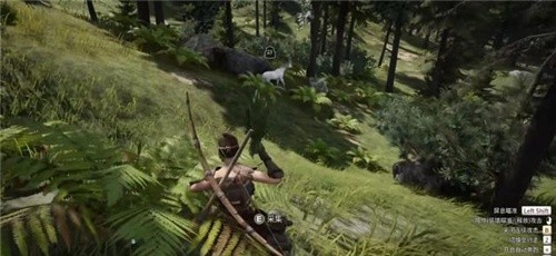 帝国神话怎么驯马-驯马方法介绍