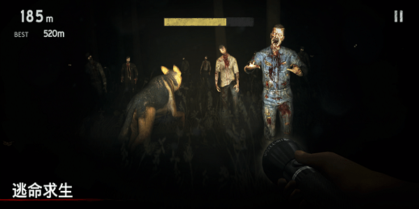 IntotheDead