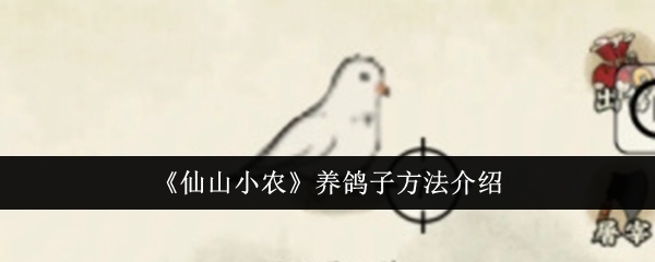 仙山小农怎么养鸽子-仙山小农养鸽子方法介绍