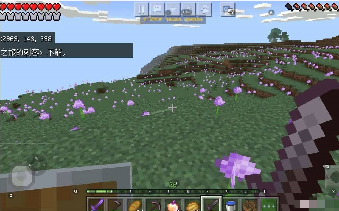 我的世界生成花海的指令是什么-MC生成花海的指令介绍