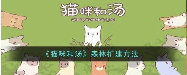猫咪和汤森林怎么扩建-森林扩建方法