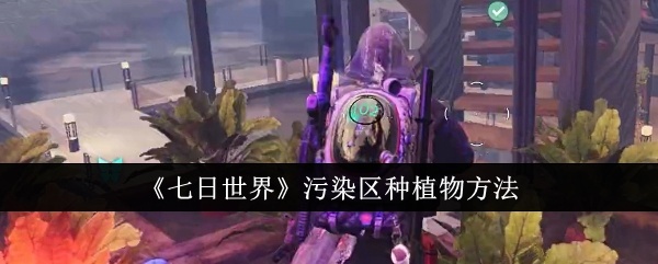 七日世界污染区怎么种植物-七日世界污染区种植物方法