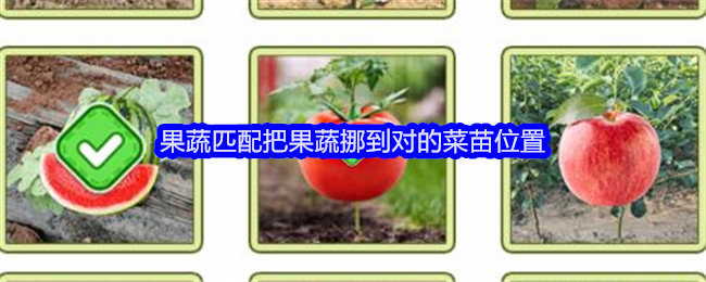 文字找茬大师果蔬匹配攻略-文字找茬大师把果蔬挪到对的菜苗位置怎么过