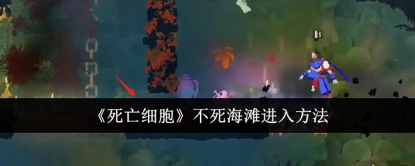死亡细胞不死海滩怎么进入-不死海滩进入方法