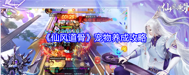 仙风道骨宠物怎么养成-宠物养成攻略