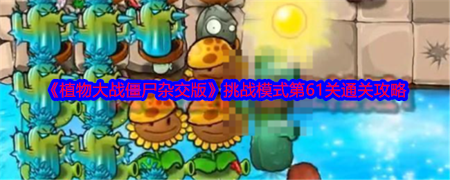 植物大战僵尸杂交版挑战模式第61关怎么过关-植物大战僵尸杂交版挑战模式第61关通关攻略