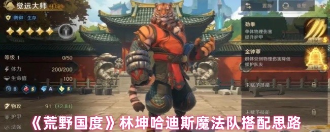 荒野国度林坤阵容怎么搭配-荒野国度林坤哈迪斯魔法队搭配思路