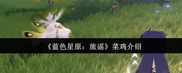 蓝色星原旅谣菜鸡怎么样-蓝色星原旅谣菜鸡介绍