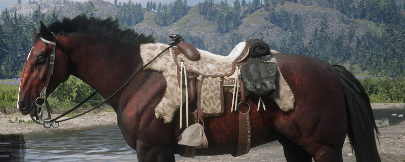 荒野大镖客2匈牙利混血马属性怎么样-荒野大镖客2匈牙利混血马属性分析介绍