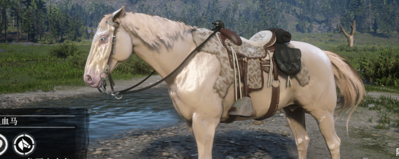 荒野大镖客2荷兰温血马属性怎么样-荒野大镖客2荷兰温血马属性分析介绍