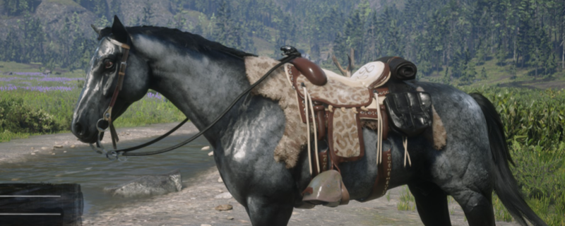 荒野大镖客2土库曼马属性怎么样-荒野大镖客2土库曼马属性分析介绍