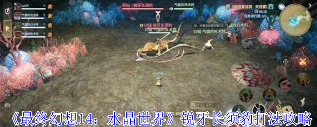 最终幻想14水晶世界锐牙长须豹怎么打-最终幻想14水晶世界锐牙长须豹打法攻略