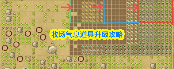 牧场气息道具怎么升级-道具升级攻略