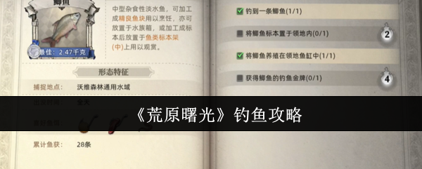 荒原曙光怎么钓鱼-钓鱼攻略