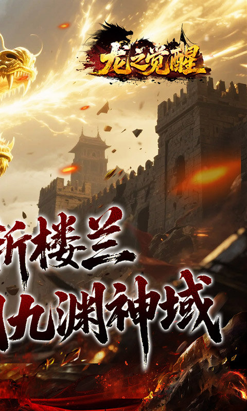 龙之觉醒（幽界狂爆攻速）游戏截图2