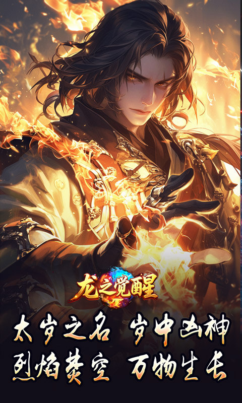 龙之觉醒（神国专属流派）游戏截图2