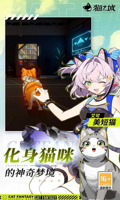 猫之城游戏截图3
