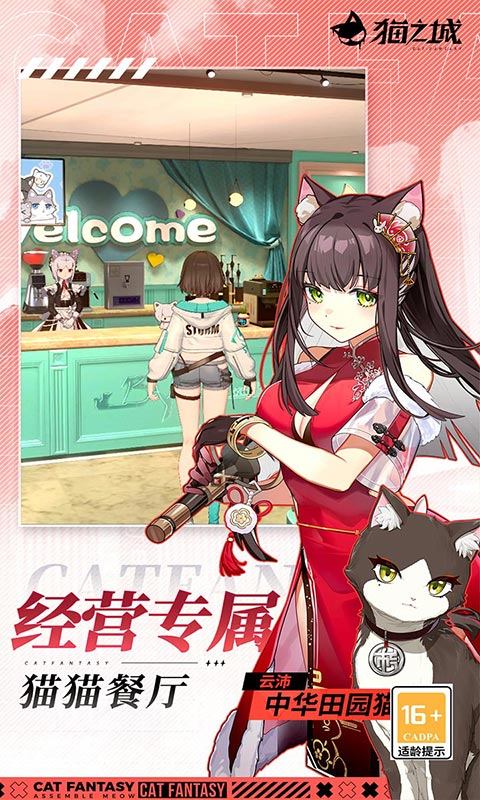 猫之城游戏截图4