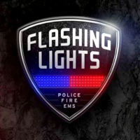 消防急救警情模拟 Flashing Lights（云游戏）