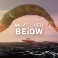 狂渊之下（云游戏）