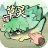 端午礼包