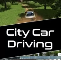 城市汽车驾驶 City Car Driving（云游戏）