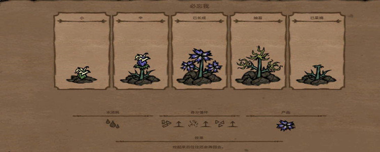 饥荒勿忘我有什么用