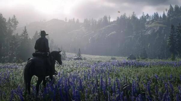 荒野大镖客2渗滤壶在哪里-渗滤壶获得方法