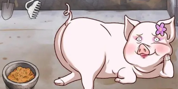 一代沙雕天生尤物怎么通关-天生尤物通关攻略