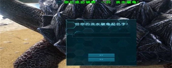 方舟生存进化淡水碳龟怎么驯服